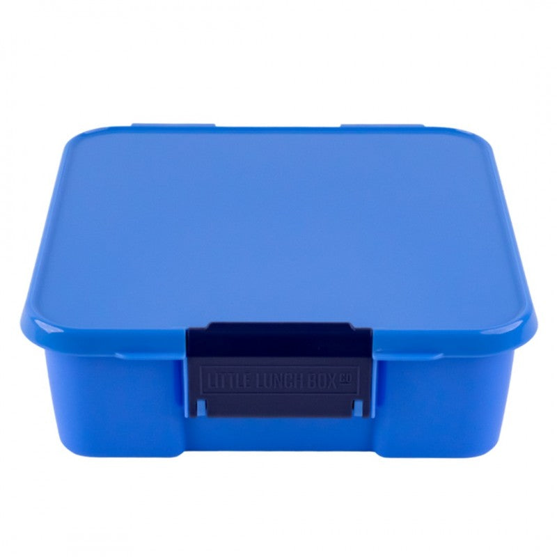 Bento Three - Blueberry