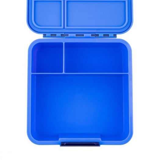 Bento Three - Blueberry