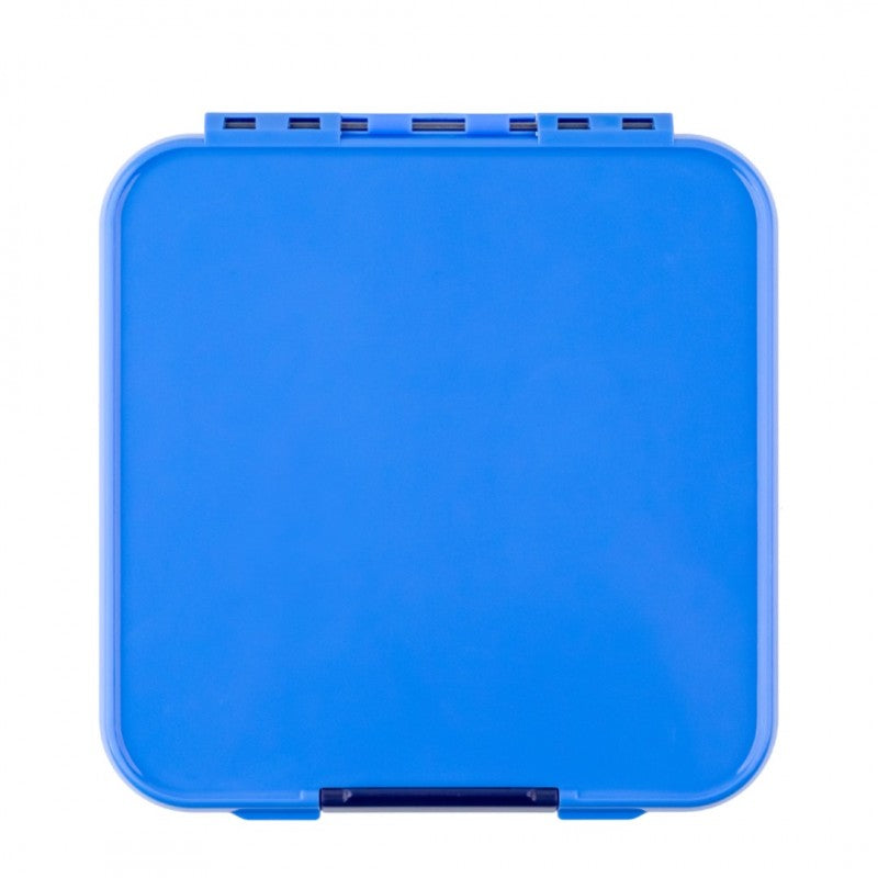 Bento Three - Blueberry