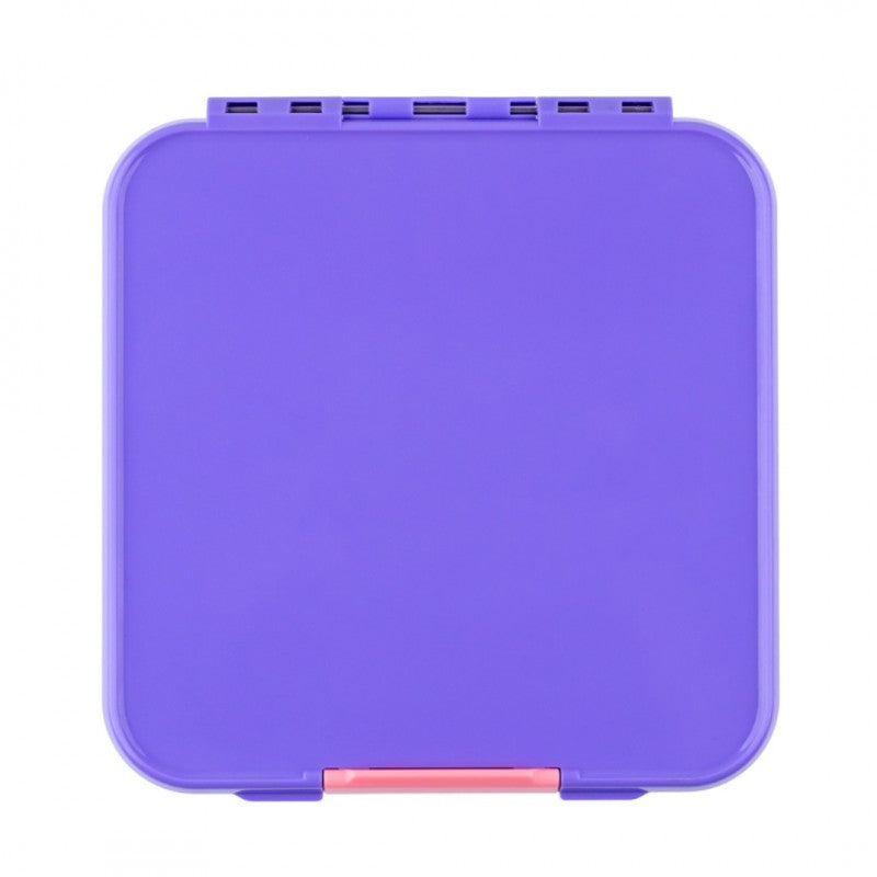 Bento Three - Grape