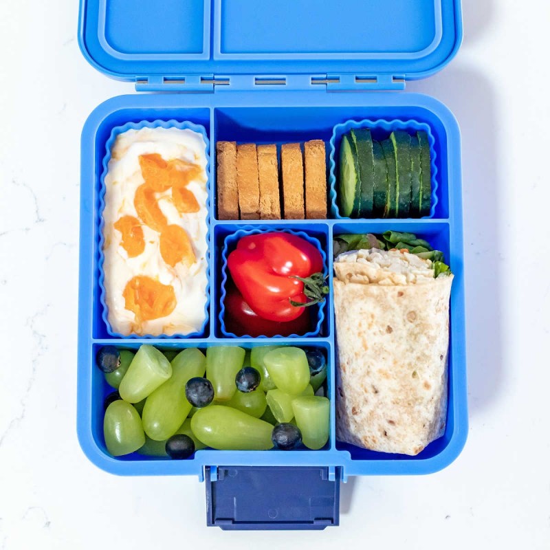 Bento Five - Blueberry