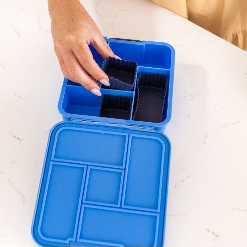 Bento Five - Blueberry