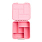 Bento Five - Blush Pink